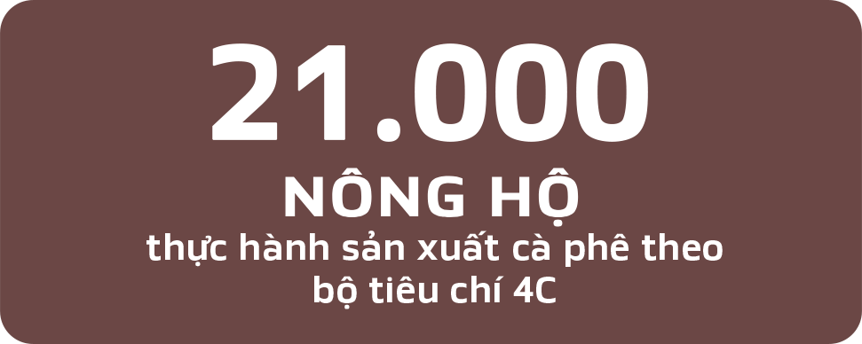 21.000 HỘ NÔNG HỘ