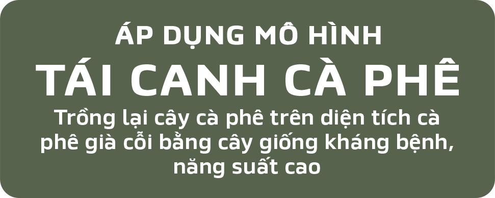 TÁI CANH CÀ PHÊ