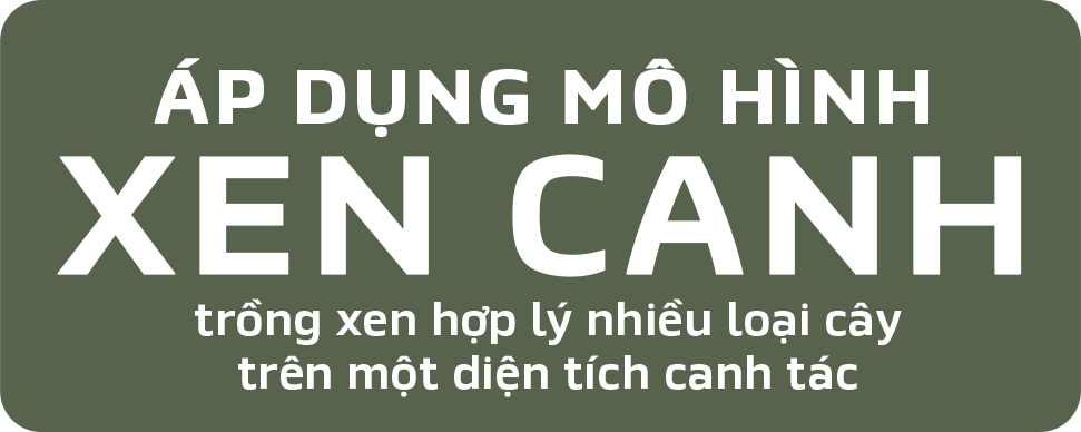 XEN CANH