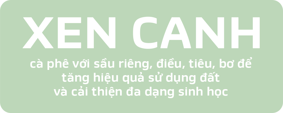 XEN CANH