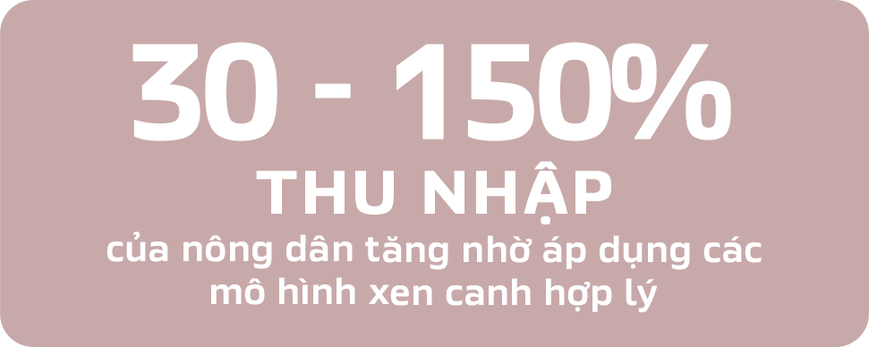 30 - 150% THU NHẬP