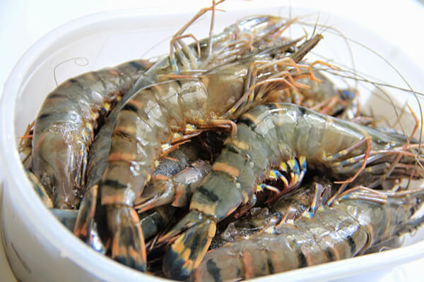 Chọn tôm tươi đơn giản và dễ nhận biết chủ yếu qua quan sát và mẹo nhỏ để kiểm tra chất lượng